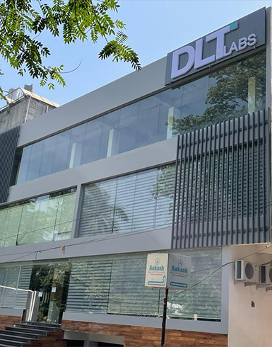 DLT Labs